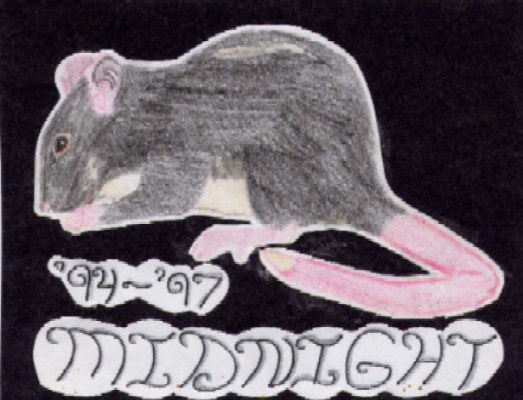 Midnight - Fancy Rat