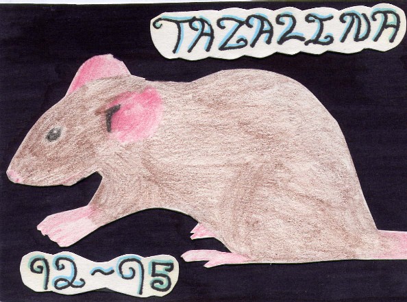 Tazalina - Mouse